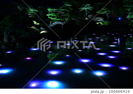 由志園のイルミネーション 100866419