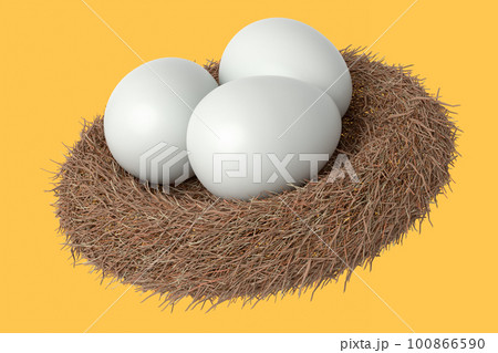 Farm raw organic white sugar-coated eggs bird nest isolated on yellow background 100866590