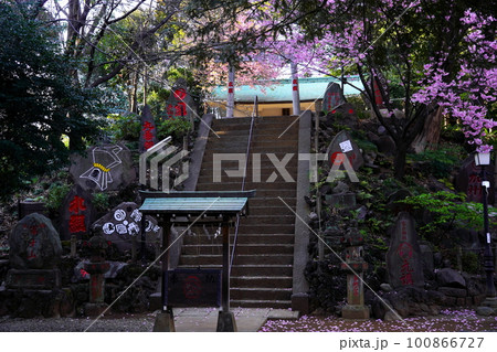 駒込富士神社 東京都文京区本駒込 駒込富士神社 東京都文京区本駒込 100866727