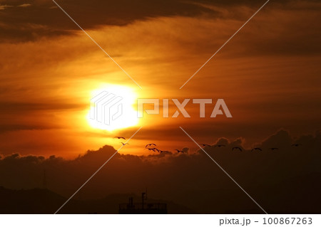 朝焼けした多様な雲と朝日・春・230301am 100867263