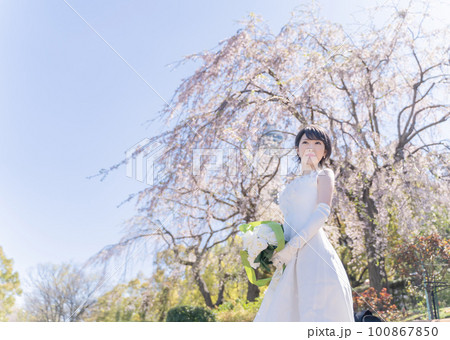 春のブライダル イメージ しだれ桜 春のブライダル イメージ しだれ桜 100867850