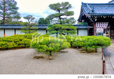 京都、仁和寺の御殿の松 100867858