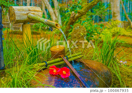 苔の生えた庭園（京都） 100867935