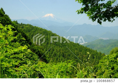 新緑の陣馬街道から富士山を望む 【相模原市津久井 5月】 新緑の陣馬街道から富士山を望む 【相模原市津久井 5月】 100868657