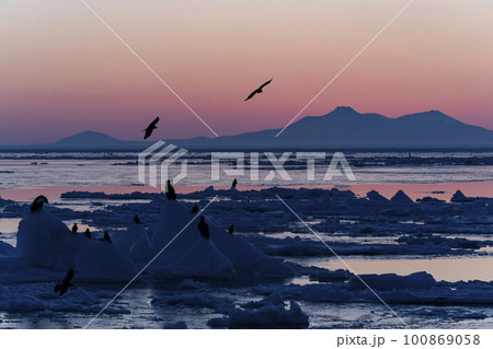 知床の流氷 100869058