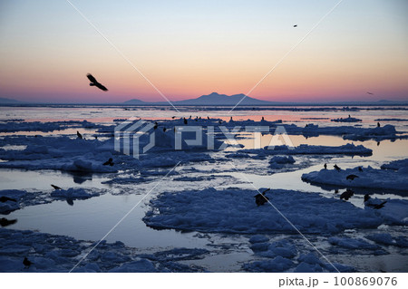 知床の流氷 100869076