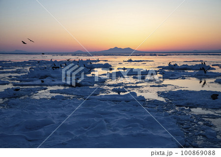 知床の流氷 知床の流氷 100869088