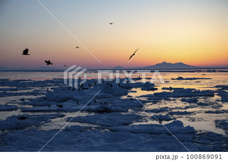 知床の流氷 知床の流氷 100869091