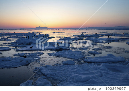 知床の流氷 100869097