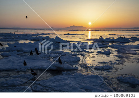 知床の流氷 知床の流氷 100869103