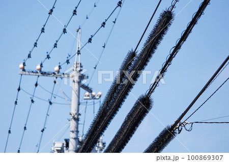 電線の鳥よけ 100869307