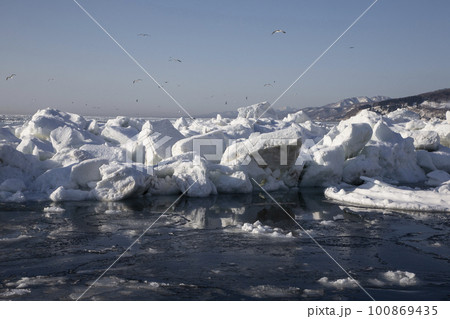 流氷と羅臼岳 100869435
