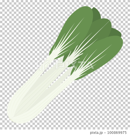 しゃくし菜のイラスト しゃくし菜のイラスト 100869975