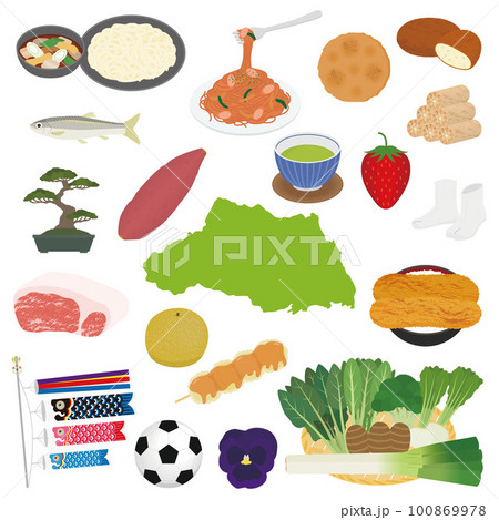 埼玉県の名物のイラストセット 埼玉県の名物のイラストセット 100869978