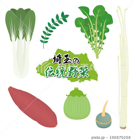 埼玉の伝統野菜のイラストセット 100870208