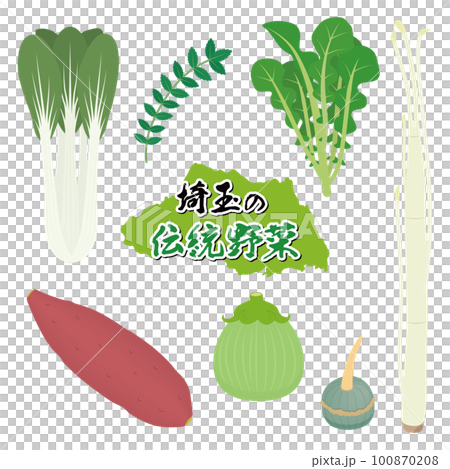 埼玉の伝統野菜のイラストセット 100870208