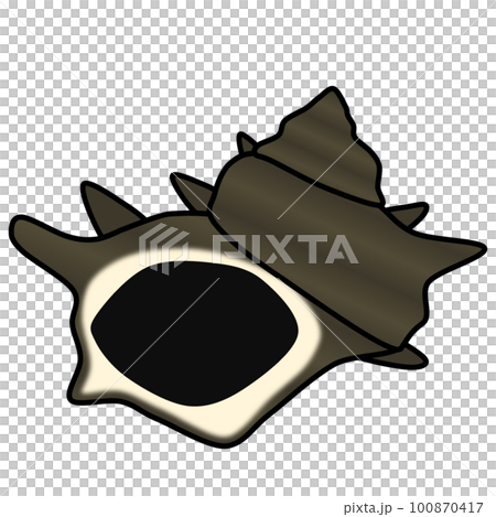 Spiky Conch Shell - Stock Illustration [100870417] - PIXTA
