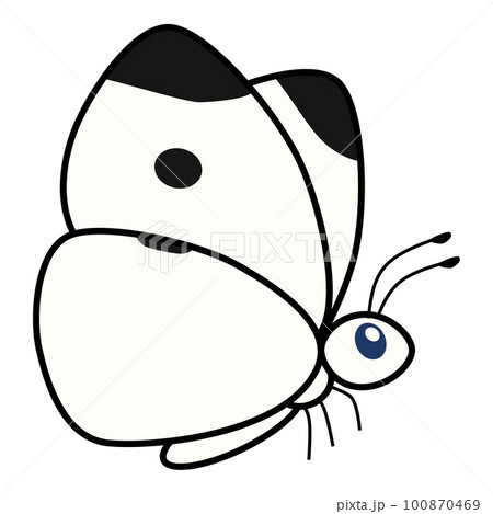 ポップで可愛いモンシロチョウのイラスト 100870469