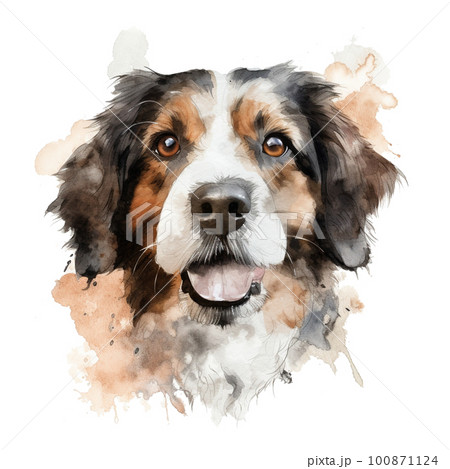 舌を出す犬 水彩画 正面①のイラスト素材 [100871124] - PIXTA