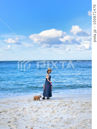 海辺で犬と散歩する女性 海辺で犬と散歩する女性 100871476