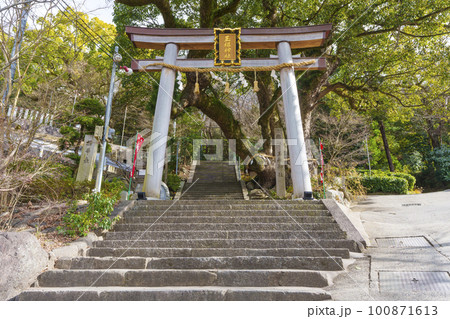 玉祖神社　社頭鳥居（大阪府八尾市神立） 100871613