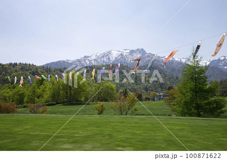 残雪に映える鯉のぼり 100871622