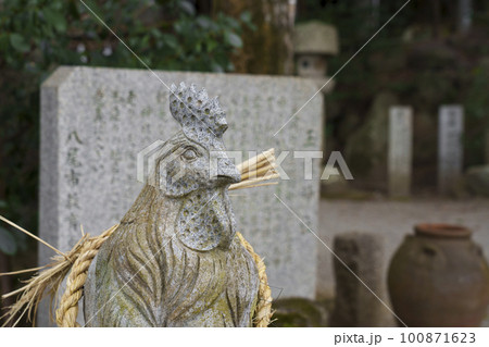 玉祖神社 狛酉 長鳴鶏像 玉祖神社 狛酉 長鳴鶏像 100871623