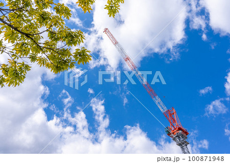 タワークレーン 青空 街路樹 タワークレーン 青空 街路樹 100871948