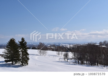 北西の丘展望台からの景色　北海道 100873570