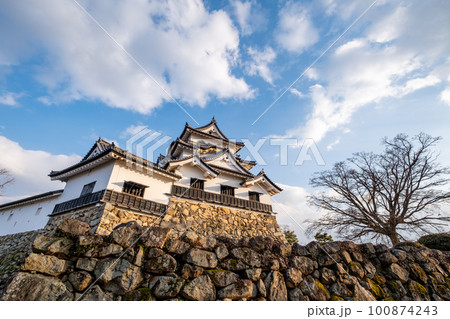 彦根城天守と附櫓　滋賀県彦根市 100874243