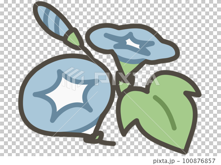 Asagao's hand-drawn illustration in color 100876857