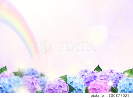 美しい薄紫色と薄いピンクのあじさいー虹のおしゃれで幻想的なボケの背景素材 美しい薄紫色と薄いピンクのあじさいー虹のおしゃれで幻想的なボケの背景素材 100877025