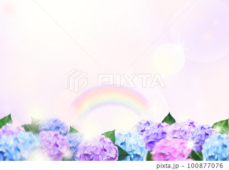 美しい薄紫色と薄いピンクのあじさいー虹のおしゃれで幻想的なボケの背景素材 100877076