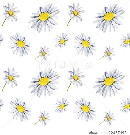 seamless pattern with daisies, wildflowers, watercolor hand drawn illustration	 100877445