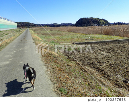 日本の田園風景 100877658
