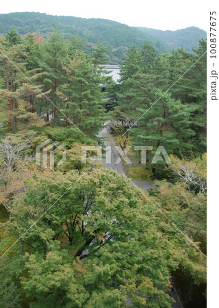 三門上からの眺め（南禅寺／京都市左京区） 100877675