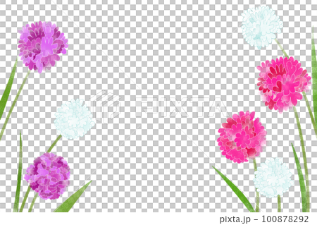 かわいいアルメリアの花のイラストカード 100878292