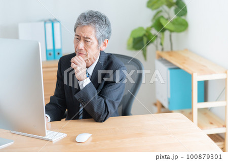 パソコンを使って仕事するシニアビジネスマン 100879301