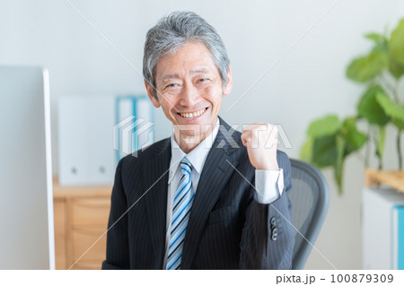 ガッツポーズするシニアビジネスマン ガッツポーズするシニアビジネスマン 100879309