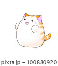 コロっとした猫オレンジ コロっとした猫オレンジ 100880920