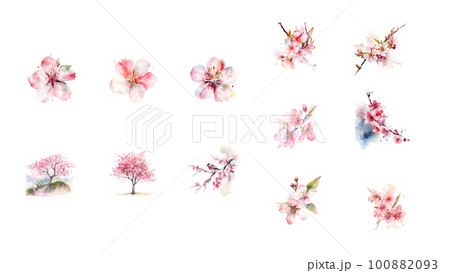 春にピッタリ桜の詰め合わせ 100882093