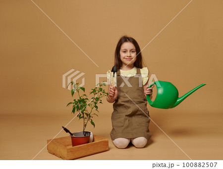 Lovely toddler child girl holding a watering can, garden shovel and rake, smiling looking at camera, sitting near a wooden crate with flower pot and blooming pepper seedling, isolated beige background 100882507