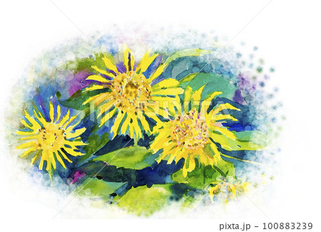 Abstract watercolor original painting colorful of sun flower 100883239