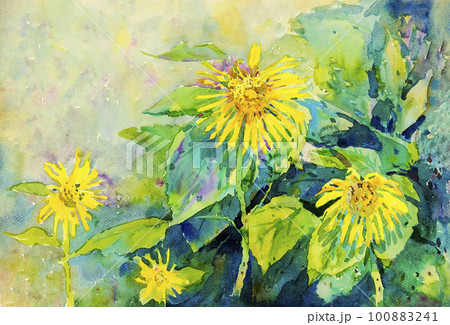 Abstract watercolor original painting  colorful of sun flowers 100883241