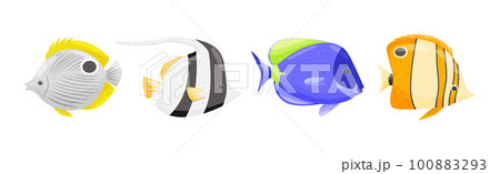 Exotic Tropical Fish of Different Shapes and Colors Vector Set 100883293