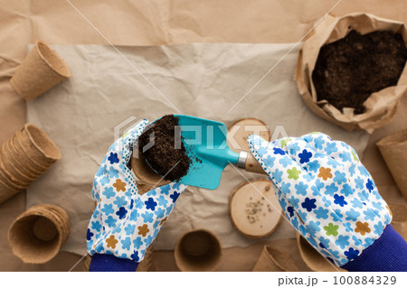 Planting tomato seeds for seedlings Planting tomato seeds for seedlings 100884329