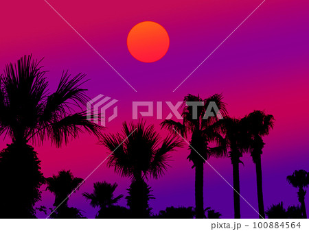 palm trees at sunset palm trees at sunset 100884564