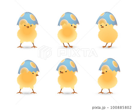 Chicks in broken oval easter eggs top set Chicks in broken oval easter eggs top set 100885802