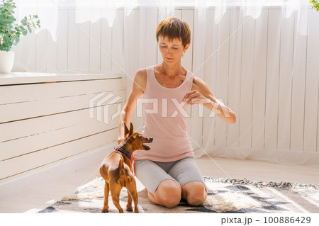 Woman practicing exercising with dog to enjoying and relaxing with yoga. Spend Woman practicing exercising with dog to enjoying and relaxing with yoga. Spend 100886429