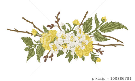 Spring bouquet with blossoming branches. Vintage style. Kerria Japanese, cherry, hawthorn. Can be used for design of invitations, cards, labels, stickers. Sketch. Yellow and green. Spring bouquet with blossoming branches. Vintage style. Kerria Japanese, cherry, hawthorn. Can be used for design of invitations, cards, labels, stickers. Sketch. Yellow and green. 100886781
